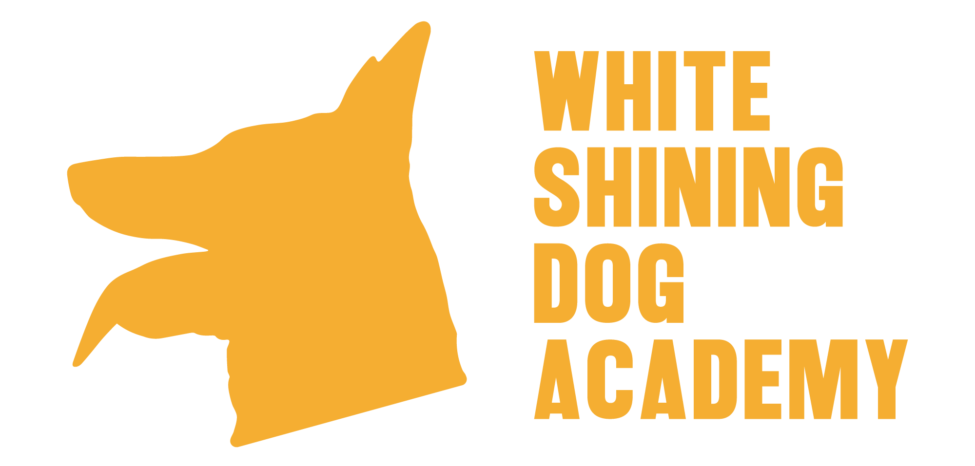 whiteshiningdogacademy - Corsi di Addestramento per Cani